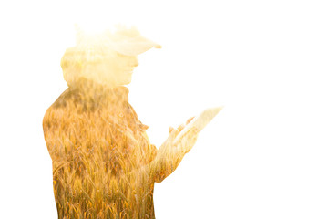 Woman farmer with tablet. Double exposure with wheat field. Smart farming and digital agriculture concept.