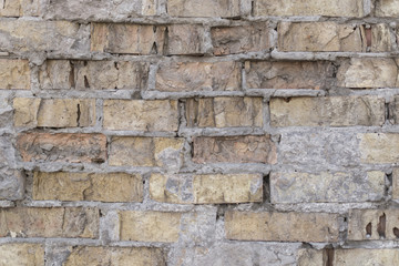 The texture of the old crumbling brick wall.