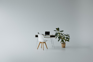 table with laptop, white chair and green ficus in flowerpot on grey background