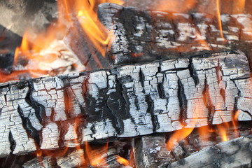 burning firewood in a fire
