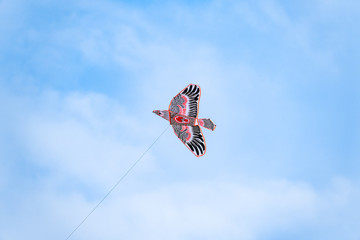 A kite flying in the sky