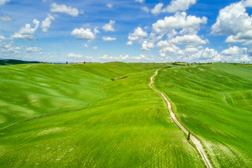 Fototapeta na wymiar Aerial shot of green meadow, Tuscany, Italy