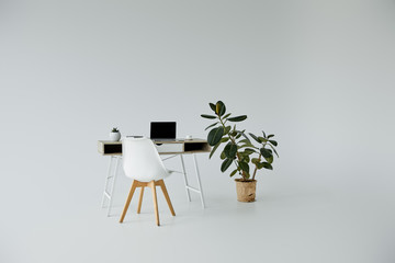 table with laptop, white chair and plants in flowerpots on grey background with copy space