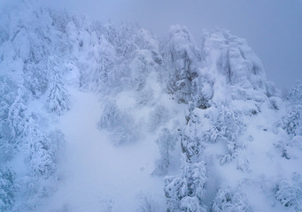 Aerial shot of the winter forest and mountains in the mist