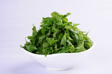 fresh green salad in a bowl isolated on white