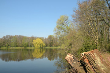 am jungfernheidesee