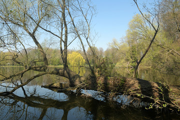 frühlingsanfang