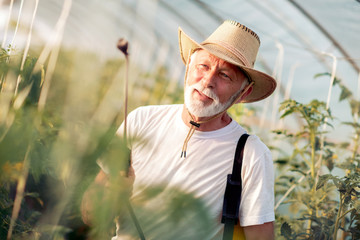 Man spraying his grarden