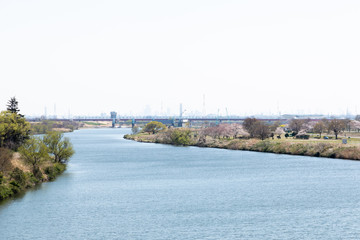 Fototapeta premium 荒川の河川敷