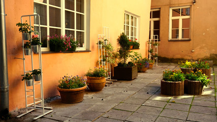street in old town and plants