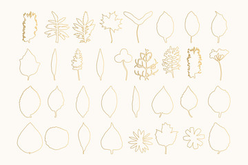 Set of hand drawn golden autumn leaves. Isolated silhouette. Vector illustration.