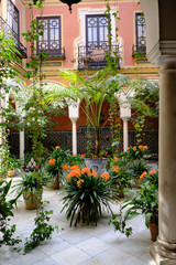 Fototapeta na wymiar April 2019 - Seville neighborhood courtyard with columns, garden plants in historical house of Andalusia - Spain.