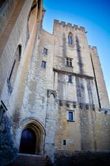 Fototapeta na wymiar Palace of the Popes, Avignon (France) - historical palace located in Avignon, Southern France