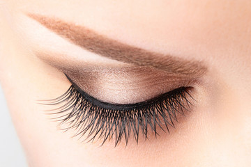 Female eye with long false eyelashes, beautiful makeup and light brown eyebrow close-up