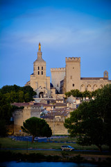 Palace of the Popes, Avignon (France) - historical palace located in Avignon, Southern France