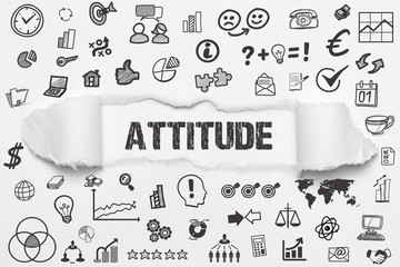 Attitude 