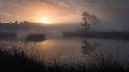 colorful sunrise above a misty fen in the Netherlands