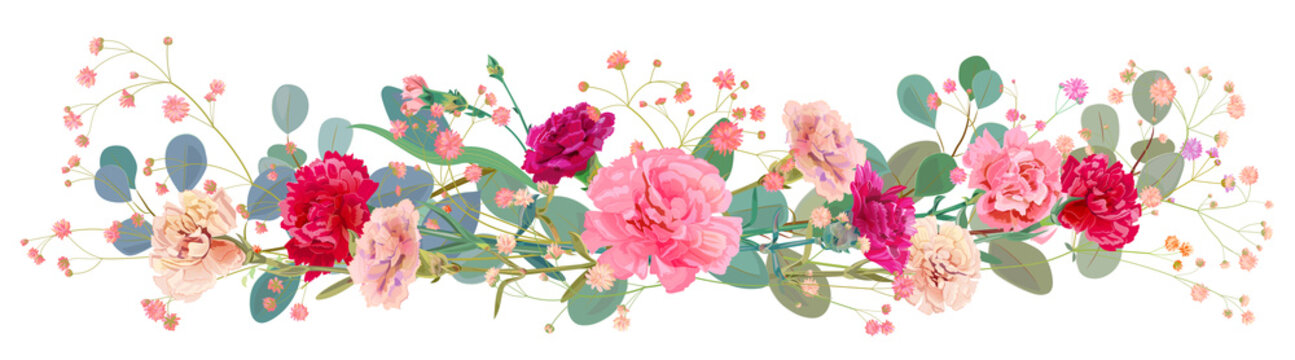Panoramic view of carnation schabaud: pink, white, red flowers, leaves eucalyptus, twigs gypsophile, white background, illustration in watercolor style for Mother's Day, horizontal pattern, vector