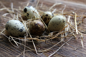 Obraz premium quail eggs on an old wooden table.