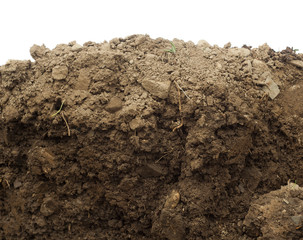 section in the soil or dirt isolated on white