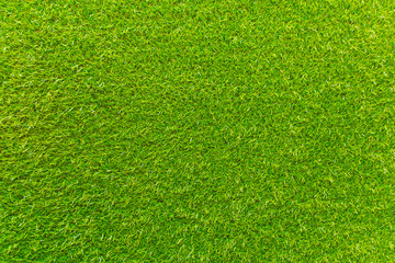 Obraz premium artificial green grass. The background is green.
