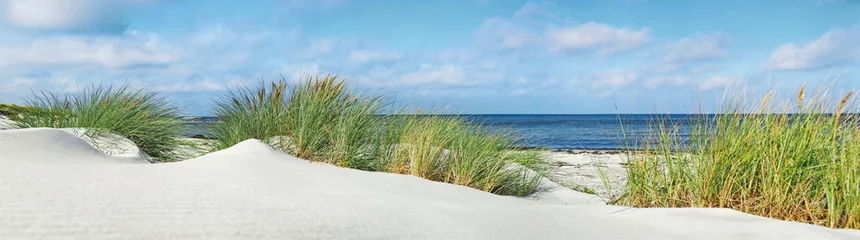 Ostseestrand mit Dünen und Meerblick - Panorama © ExQuisine