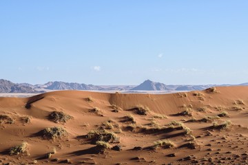 Desert dune landscape