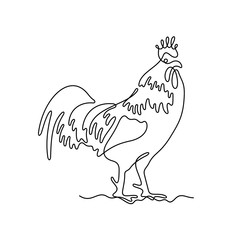 Rooster continuous line vector illustration