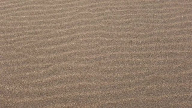 Walking on the sand rippled by the wind