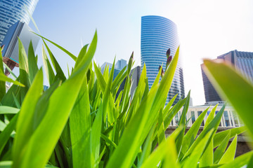 La Defense skyscrapers viewed through green grass