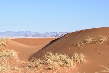 Desert dune landscape