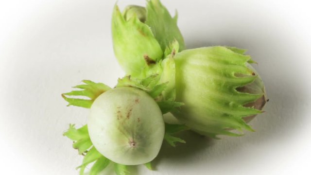 Three hazelnuts in rotation on white background