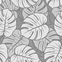 Naklejka na ściany i meble gray monochrome monstera leaves graphic exotic seamless pattern 