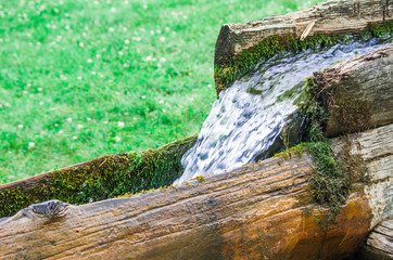 Fototapeta premium fresh and clean spring water flows downstream