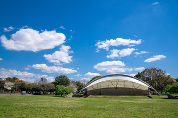 Naklejka premium 午後の公園