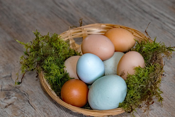 Eier im Körbchen