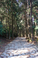 Stone paved road, Tokaido road, Mishima city, Shizuoka prefecture, Japan