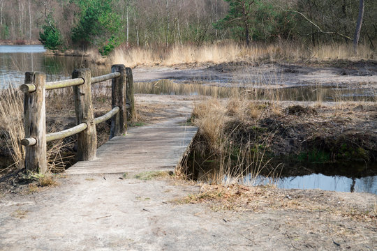 wooden path with fence,  bridge in forest Oisterwijkse Bossen en Vennen in Oisterwijk, The Netherlands