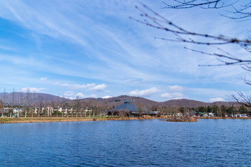 Fototapeta premium 軽井沢の散歩道 秋