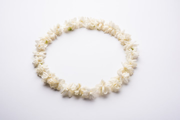 Jasminum sambac or Mogra Flower arranged in a  circular or rectangular  frame shape over white background, selective focus
