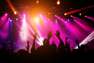 People, crowd on concert. Purple light from stage.