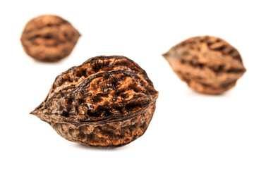 three large wild walnuts on a white background. different focus