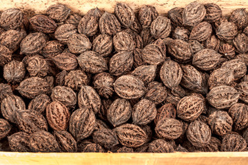 lots of big wild walnuts in a wooden box