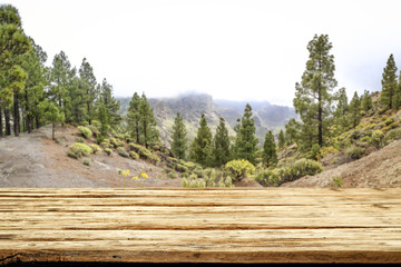 Wooden table of free space for your decoration. Mountains landscape of Gran Canaria island. Green big trees and rainy clouds