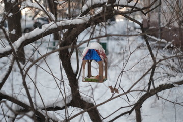 lantern in snow