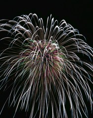 《大曲の花火》秋田県大仙市