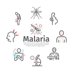 Malaria line icon banner. Infographics. Symptoms, Vector signs for web graphics.