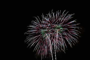 《大曲の花火》秋田県大仙市