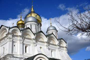 Fototapeta premium Archangels church of Moscow Kremlin