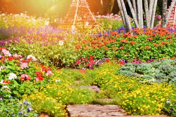 Summer garden colorful plant and flower blooming decorate park flowers spring